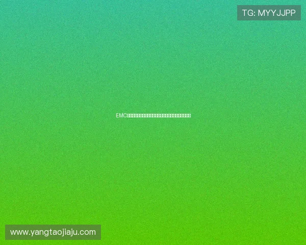 EMC体育官方网站全新体验打造专业运动资讯与赛事互动平台